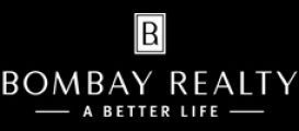 BR logo